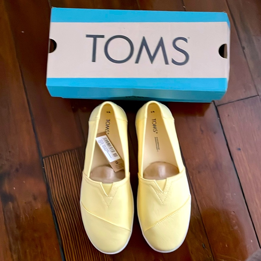 Banana Yellow Canvas Toms 8
